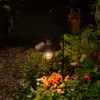2 Pack EKQ Hanging Solar Lights Lantern Lamp with Shepherd