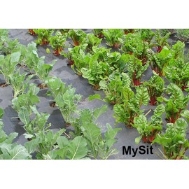 MySit 6" Galvanized Landscape Staples Garden Stakes Pins 24 Pack, Heavy-Duty 11 Gauge Garden Staples Anti-Rust Fence Stakes for Anchoring Weed Barrier Fabric Irrigation Tubing Soaker Hose