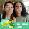 NYP Sugar Free Mojito Lime Chewing Gum, Aspartame Free &
