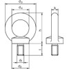 Rigg ATEC Hook & Eye Bolts DIN 580 M10/verz.