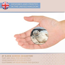 Destination Vinyl ltd Magnet for Refrigerator, Fridge - Cute Grey Seal Pup Sunbathing for Office, Cabinet and Whiteboard, Magnetic Stickers, 3648