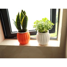 Cornasee 4" Pumpkin Planter Self Watering Pot, 4-Pack Small Plastic Planters for Indoor Plants,Flowers,Succulent,African Violets (Orange, 4")