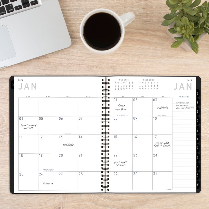 AT-A-GLANCE 2026 Planner, Monthly, 9" x 11", Large, Contemporary Lite,