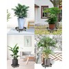 LeafLassie Heavy Duty Plant Caddy with Wheels 12 Inch, 360°