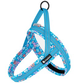 Wanwan Square Garden Dog Harness for Small Dogs Large Dogs Dog Harness Torso Truelove Brand Easy to Put On Neoprene Soft Pad Easy to Put on Comfortable Sport Harness Happy Pattern (Malibu Blue-XXXS)