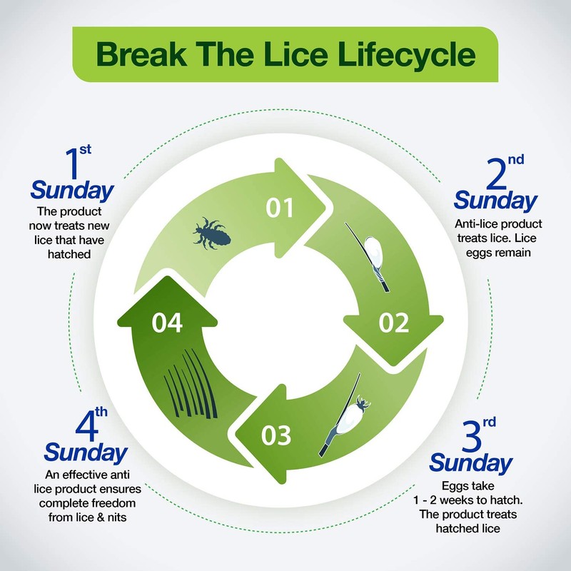 Mediker Natural Anti-Lice Treatment Shampoo, 50ml - 1 Pack (Ship