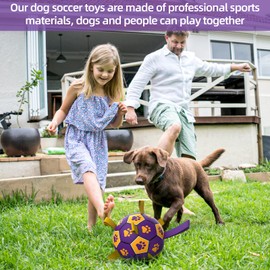 QDAN Dog Ropes Toys Soccer Ball with Straps, Interactive Dog Toys for Tug of War, Puppy Birthday Gifts, Dog Tug Toy, Dog Water Toy, Durable Dog Balls for Medium & Large Dogs-Purple&Gold（8 Inch）