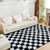 Andency 3x5 Ft Black and White Area Rug for Living