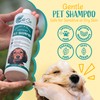 AllBe Natural Puppy and Dog Shampoo - Organic Pet Wash
