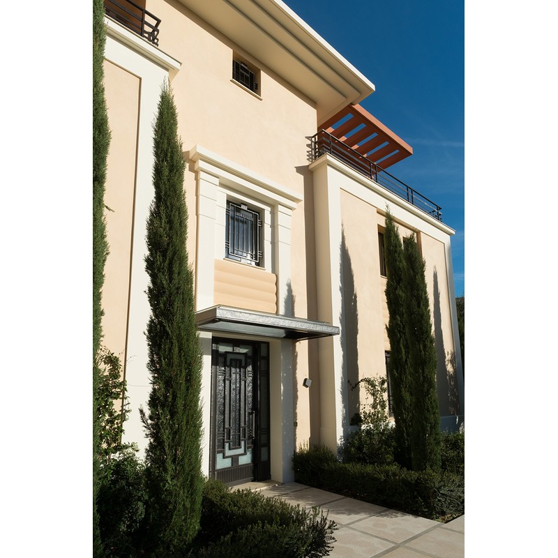 Italian Cypress | Small Tree Seedling | The Jonsteen Company