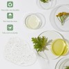 50 esponjas faciales comprimidas, 100% natural de celulosa esponjas profesionales