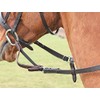 Shires Flexi-Rein Pony Havana