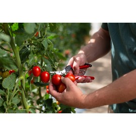 FELCO FELCO321 Model 321 Snips, Red