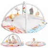 Baby to Toddler Gym Play Mat, Motor Skills Development, Activity