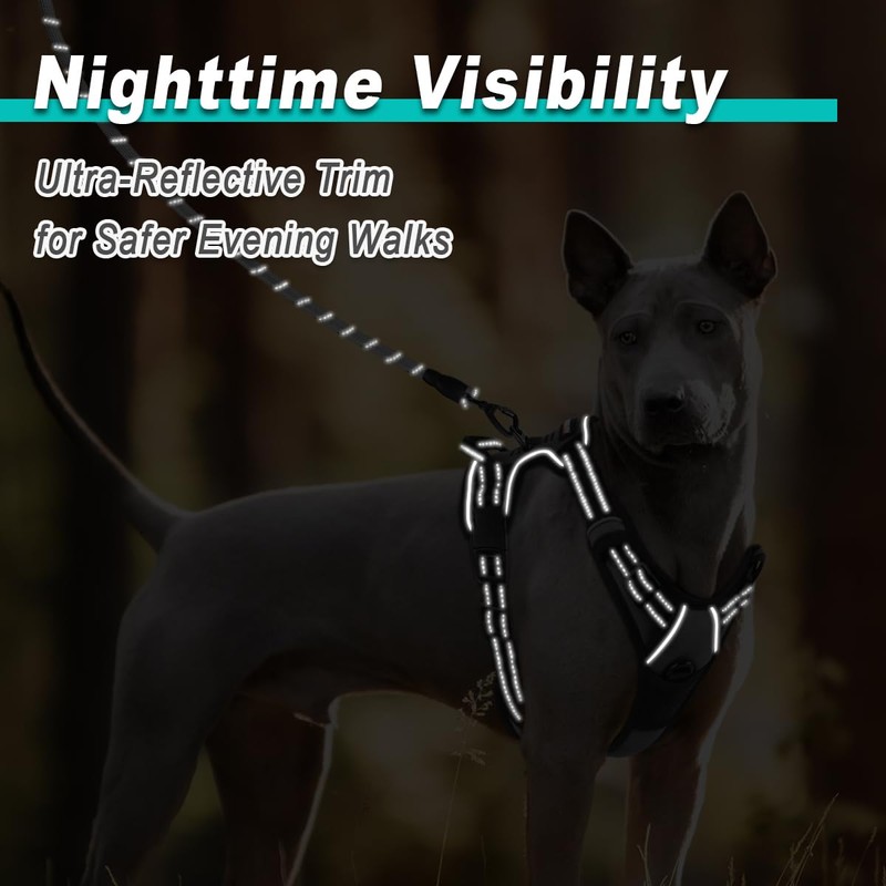 BARKBAY Dog Harness No Pull for Medium Dogs - Adjustable,
