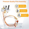 Criditpid 446-511A Propane Gas Pilot Assembly for Heat-N-Glo, Royal Gas