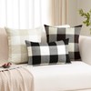 OTOSTAR Set of 2 Classic Buffalo Check Plaid Throw Pillow