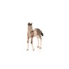 Schleich Andalusian Foal - Play Animal (13822)