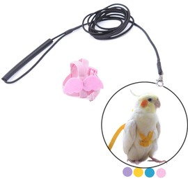 Bird Harness Leash Kit for Walking, Durable Outing Gadget Adjustable Flying Training Rope Strap, Traction Rope for Parrot, Cockatiel, Parakeet, Lory, Conure.