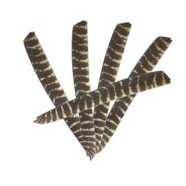 30 Pieces Full Length Turkey Feather Archery Arrow Fletching (7-11 Inch) Spiral Twist Wrap Feathers Right Wing Fletches for DIY Flu Flu Arrows (Right Wing)