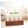 KONTONTY 1set Glass Bud Vases Stand for Hydroponic Plant Propagation