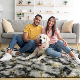 Noahas Large Fluffy 5x8 Area Rugs for Living Room Bedroom,Thick Shag Grey and Gold Throw Rug,Big Soft Shaggy Bedside Non-Slip Plush Dorm Nursery Kids Carpet