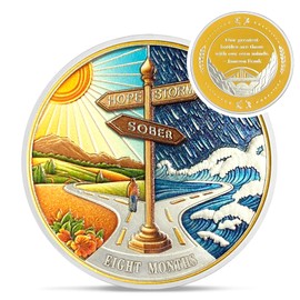 Hope Signpost 8 Month Sobriety Coin - Reborn from Storm AA Coins - 8 Month AA Chips and Medallions - 1-10 Years NA AA Celebrate Recovery Addicts - Narcotics Alcoholics Anonymous Gifts for Men Women