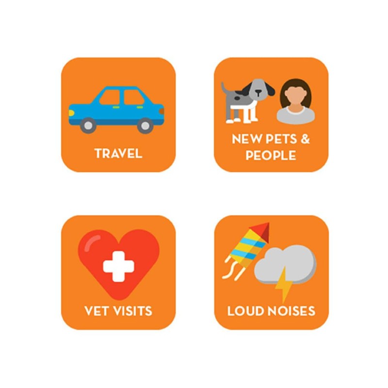 Thunderessence Drops for Dogs 15mL