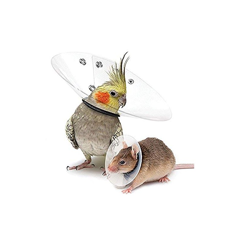 KVP Saf-T-Shield Recovery Collar for Rodents, Fits 2.25" to 3"