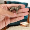 KH866 - Mini estatua dorada de latón para perro (3,7