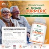 Organic Turmeric Ginger & Black Pepper 2280mg - 240 Vegan