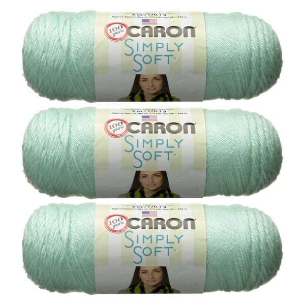 Caron Simply Soft Yarn Solids (3-Pack) Soft Green H97003-9739
