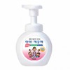 250mL Foaming Hand Wash with Dispenser Foaming Soap Dispenser
