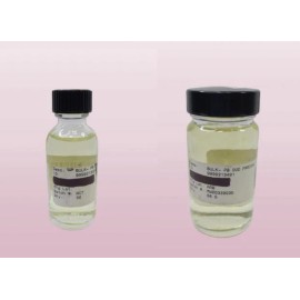 PARFUMS BELCAM OUD FRAICHE EDP 0.8 OZ & OUD FRAICHE EDP 2.1 OZ