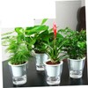 Sosoport Hydroponics Watering Planter Pot Automatic Water Absorption Transparent Resin