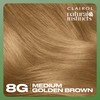 Clairol Natural Instincts Demi-Permanent Hair Dye, 8G Medium Golden Blonde