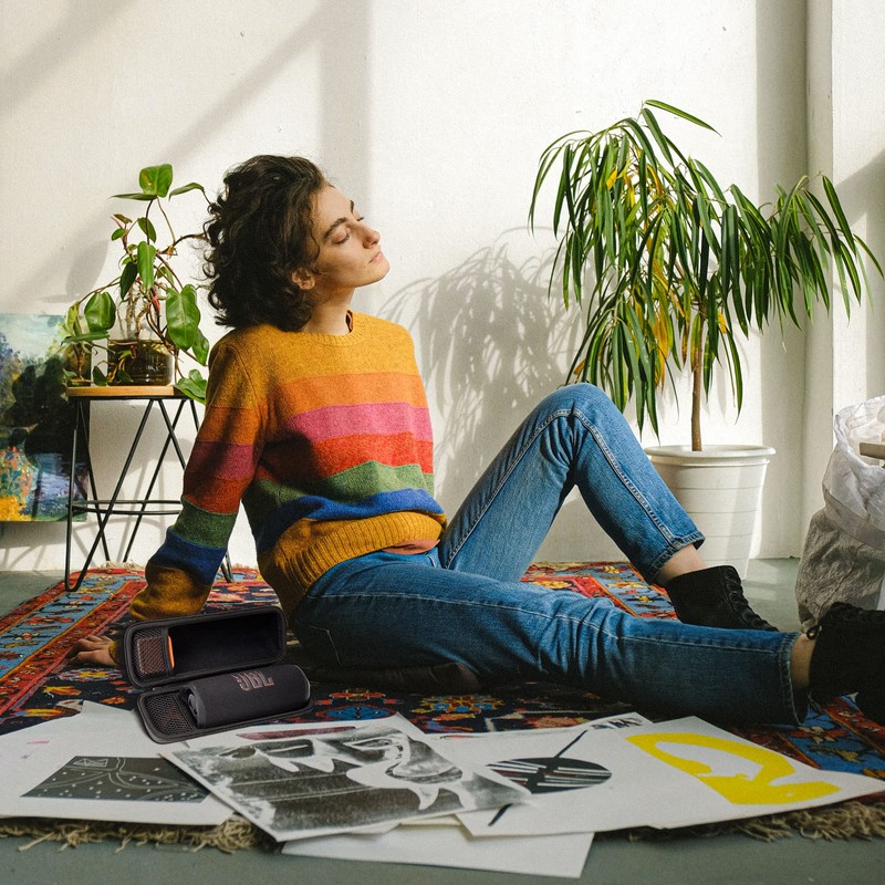 Aenllosi Storage Case Compatible JBL Flip 6 FLIP6 Bluetooth Speaker