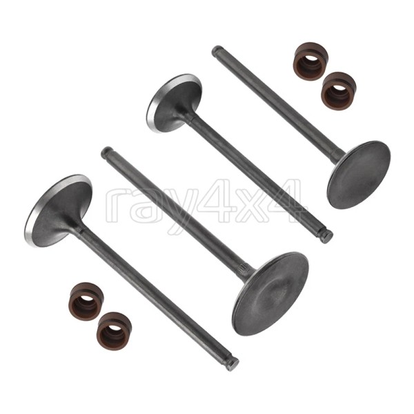 M MATI Intake Valve & Exhaust Valve Kit Fits For