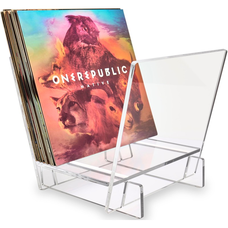 Honygebia Acrylic Vinyl Record Holder, Storing Collection of 40 Premium