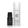 Bursera Tea Tree Essential Oil, Tree Planted with Every Order,