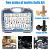 Nuts and Bolts Assortment Kit, Flange Bolt Assortment (12-30mm)