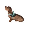 Bobby Easy Safe Dog Harness Red