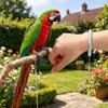 Bird Leash with 4 Different Size Foot Ring, Parrot Flying