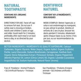 Spa-Dent Pure Toothpaste – Made in Canada with Advanced Dental Grade Ingredients – Wild Mint