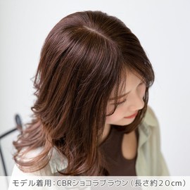 Bright Lara hp002-CBR Hand Planted Hairpiece Human Hair Wig, Top Cover, Whorl, Top Hairpiece, Human Hair Wig, Wig,