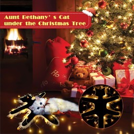 LARFOEK Light Up Fried Cat Rug, Christmas Vacation Decorations Vacation Village Gifts Funny Christmas Decoration Rug with Light Always On or Flashing Halloween Decor (Warm Light)