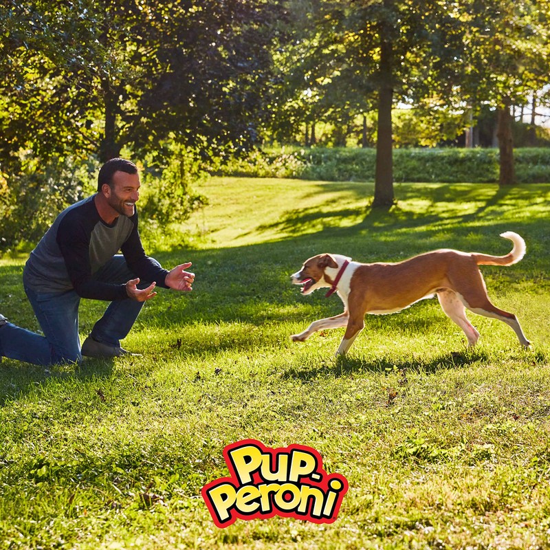 Pup-Peroni Pup-Peroni Dog Treats, Original Beef Flavor, 38 Ounce, Made