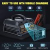 EFFORTWAY 20A 12V/24V Battery Charger,Lead Acid Charger, 12V LiFePO4 Charger.