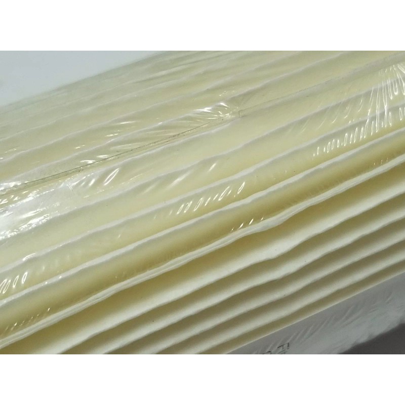 Filter Pentair Pentek S1 Pleated Cellulose Filter Cartridge Chlorinated Water