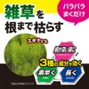 Rainbow Chemical “Root Eradication Ace V” Granules